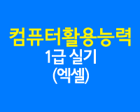 컴퓨터활용능력 1급 실기(엑셀) (2015년 개정)