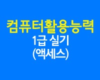 컴퓨터활용능력 1급 실기(액세스) (2015년 개정)
