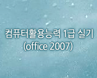 컴퓨터활용능력 1급 실기(Office 2007)