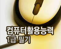 컴퓨터활용능력 1급 필기 - 스프레드시트