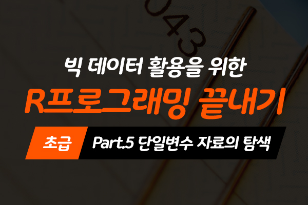 [HD]빅데이터 활용을 위한 R프로그래밍 끝내기 - 초급 Part.5 단일변수 자료의 탐색